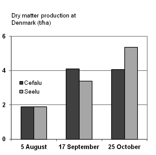 Dry matter production in Cefalu and Seelu at Denmark showing Cefalu outyields Seelu mid season while Seelu outyields Cefalu later in the season