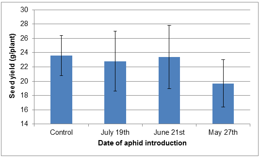 This figure shows no significant difference in single plant yield between treatments.