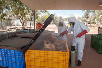 Photo caption: Grain Biosecurity Officer Jeff Russell fumigating grain samples for storage at DAFWA’s research laboratories in Northam.