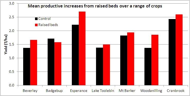 Bar graph of the yield of 'Control' and 'Raised Beds' treatments at seven locations. Raised beds produced about 200-400kg/ha higher yield at Beverly, Esperance, Lake Toolebin, Woodanilling and Cranbrook while ate Badgebup it produced about 100kg/ha lower yield.