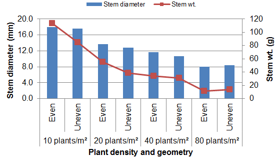 Stem diameter and stem weight as affected by plant density and geometry as discussed in text.