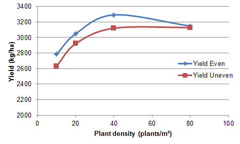 Yield as affected by plant density and geometry as discussed in text.