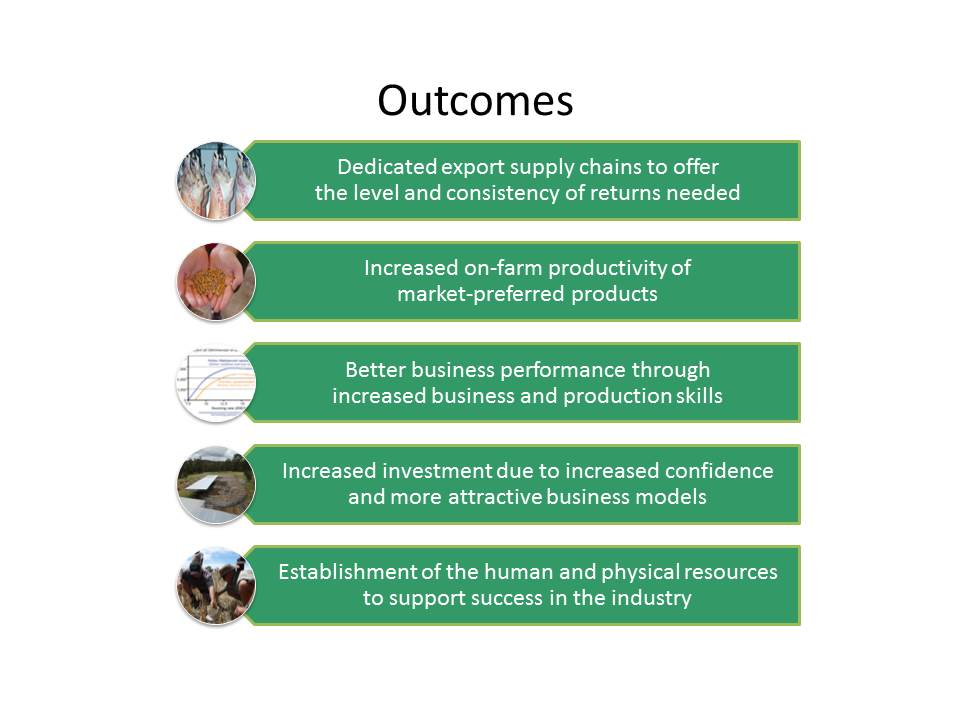 outcomes for the project