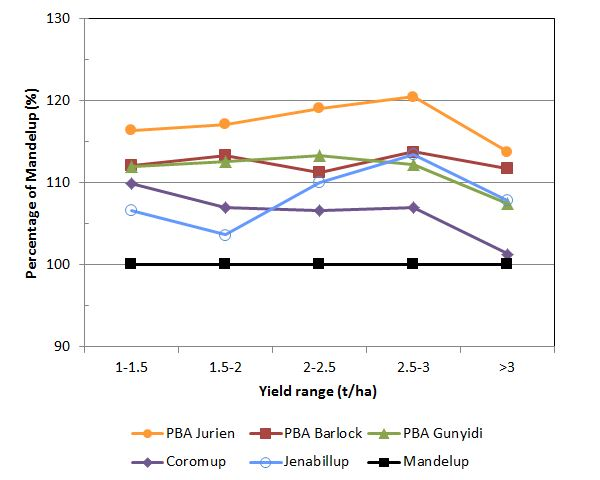 Line graph showing the yield of PBA Jurien above the other varieties tested