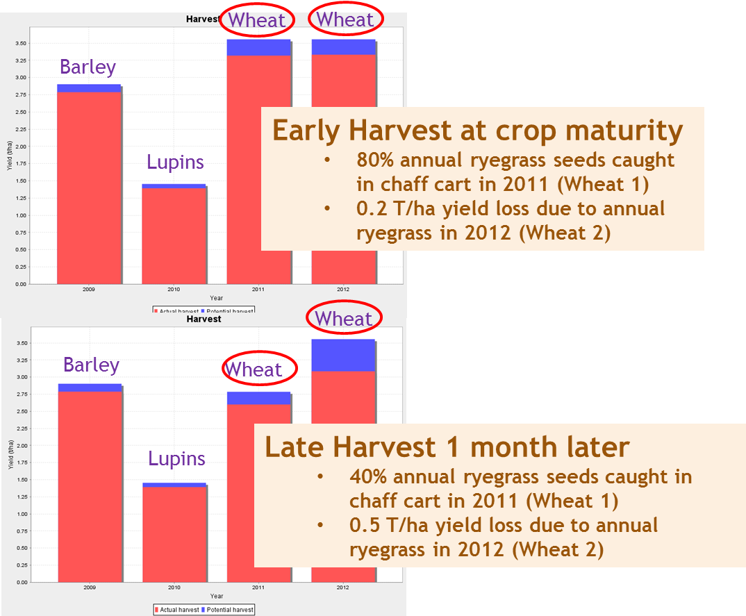 Figure 3 Harvest yields from two Weed Seed Wizard scenarios; Early Harvest at crop maturity where 80% annual ryegrass seeds caught in chaff cart and Late Harvest 1 month later where 40% annual ryegrass seeds caught in chaff cart