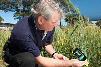 Department of Agriculture and Food senior entomologist uses the new smartphone App SnapCard to assess spray droplet coverage on leaves.