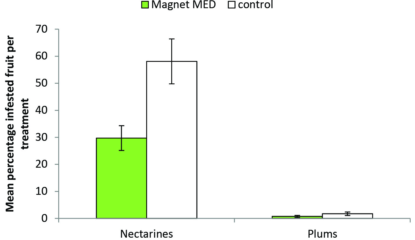 Mean number of Medfly infested fruits per treatment