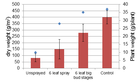 Dry weight ofcanola in grams per square metre on left y axis represented as bar graphs along x axis; plant weight in grams per plant on right y axis, presented as single points on x axis for different sprayed treatments