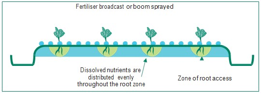 Broadcast or spray applications of fertiliser during crop establishment place nutrients in the zone where young developing roots have access