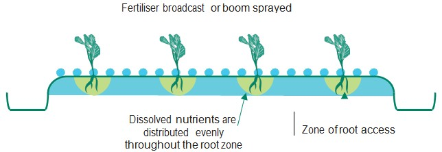 Broadcast or spray applications of fertiliser during crop establishment place nutrients in the zone where young developing roots have access