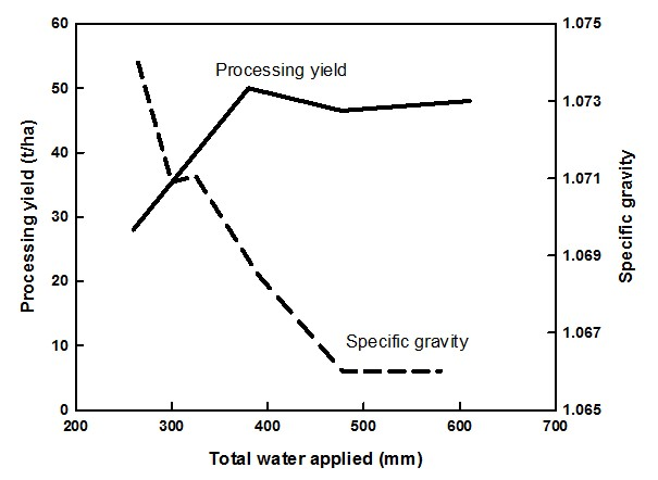 Applying water in excess of crop requirements can reduce the final specific gravity. This is especially so if crops are over-watered near maturity