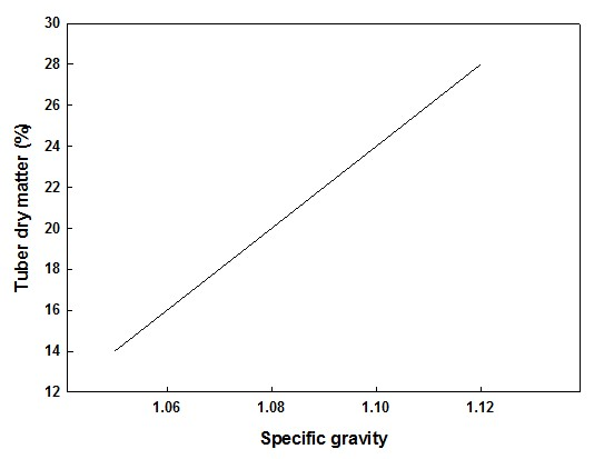 The figure demonstrates that there is a close relationship between the specific gravity and dry matter content of tubers