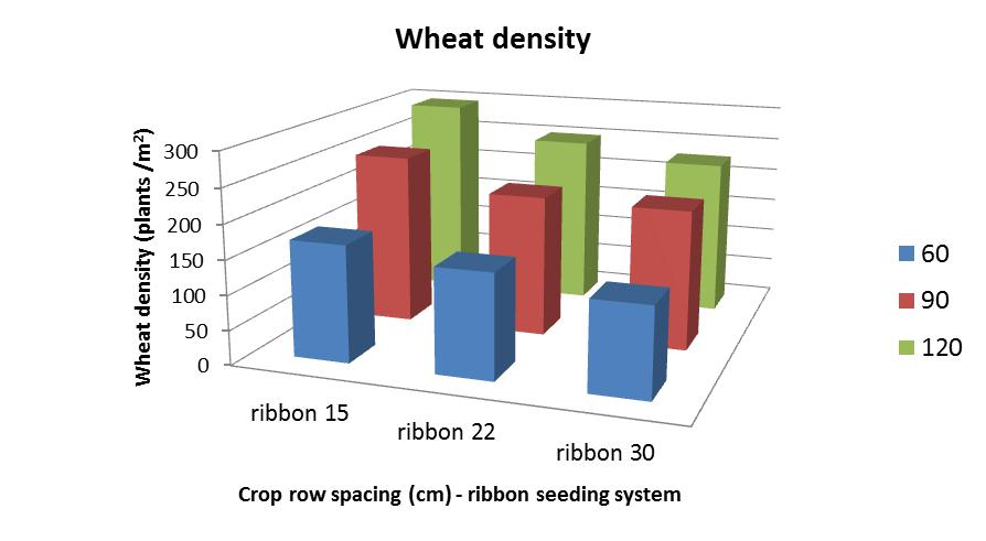 Wheat seeding efficiency (i.e. % of seeds sown that emerged) of ribbon seeding system at three crop row spacings across three seeding rates of 60, 90 &amp; 120 kg/ha