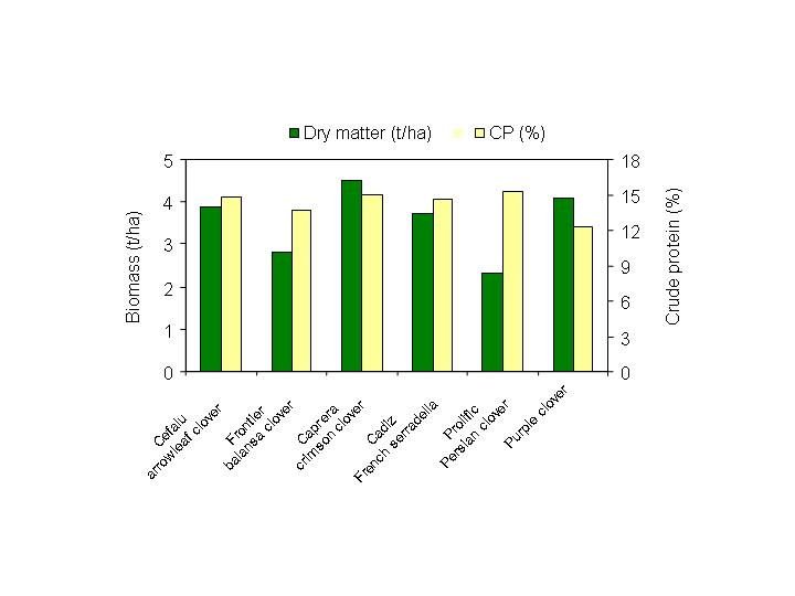 Dry matter production and crude protein in Cefalu arrowleaf clover compared with Frontier balansa clover, Caprera crimson clover, Persian Prolific, purple clover and Cadiz French serradella