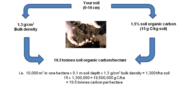 Drawing of the procedure for calculating soil organic carbon for a given depth of soil