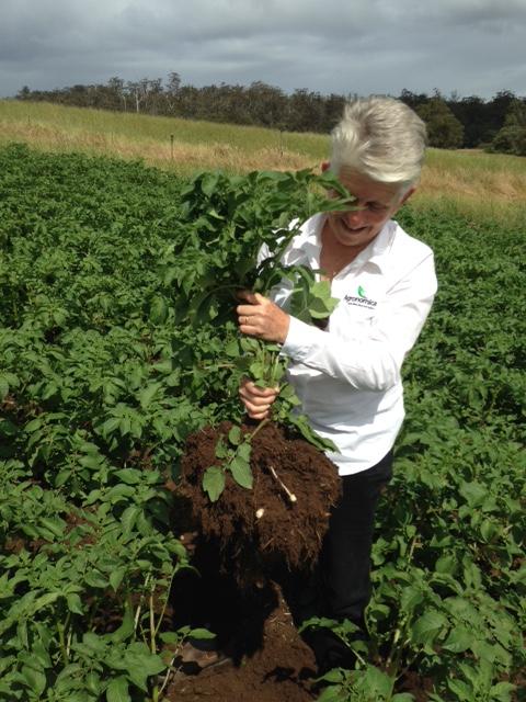 Deb Archdeacon with an example of soil glued to plant roots