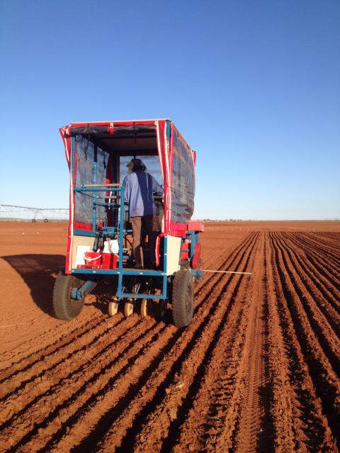 Sowing small plot trials using a special cone seeder at the Woodie Woodie trial site