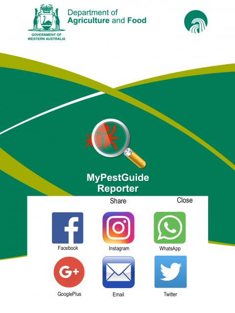 Participating in vineyard biosecurity surveillance has never been easier with the MyPestGuide™ Reporter app’s new capacity to share reports with social media platforms.