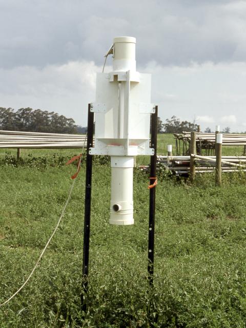 An ultraviolet or black light trap used to monitor the abundance of African black beetle adults