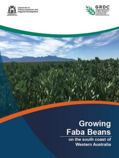 Cover of Growing faba beans publication