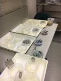 Setup of laboratory bioassay investigating slug management