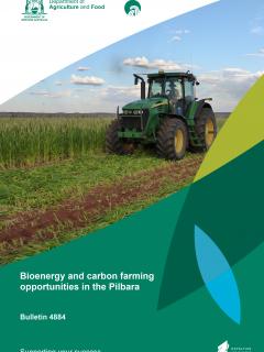 Pilbara Bioenergy & Carbon Farming report cover